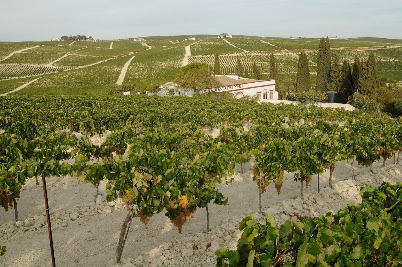 Jerez Vina Santa Petronila Guest House Jerez de la Frontera Ngoại thất bức ảnh