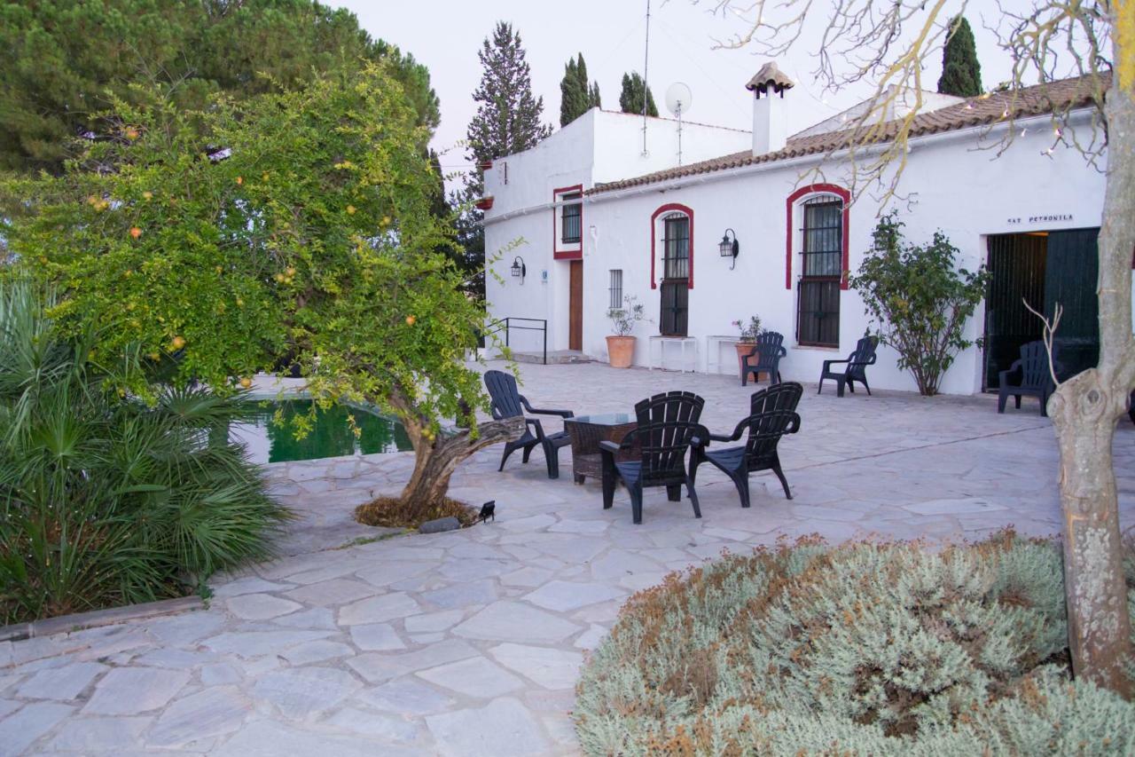Jerez Vina Santa Petronila Guest House Jerez de la Frontera Ngoại thất bức ảnh